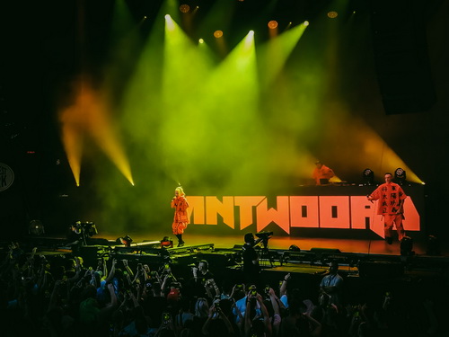 Die Antwoord