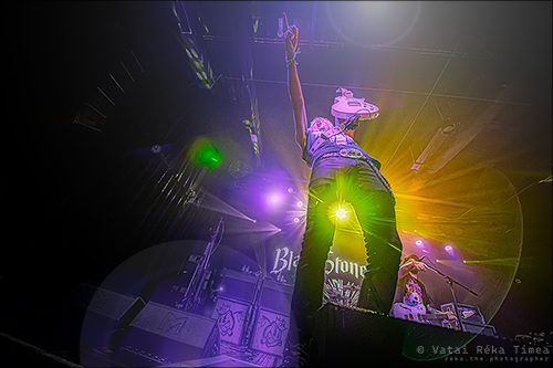 Black Stone Cherry